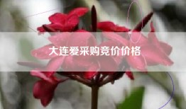 大连爱采购竞价价格