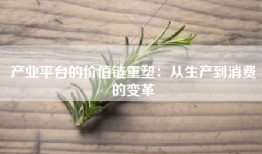 产业平台的价值链重塑：从生产到消费的变革