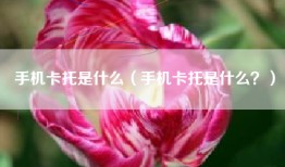 手机卡托是什么（手机卡托是什么？）