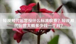 短视频代运营按什么标准收费？短视频代运营大概多少钱一个月？