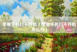 苹果手机打不开机（苹果手机打不开机怎么办）