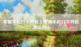 苹果手机打不开机（苹果手机打不开机怎么办）