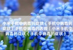 小米手机中病毒的症状（手机中病毒的症状）手机中病毒的表现「小米手机中病毒的症状（手机中病毒的症状）」