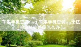 苹果手机安装app（苹果手机安装app无法验证其完整性怎么办）