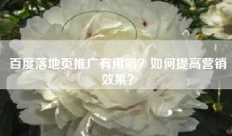 百度落地页推广有用吗？如何提高营销效果？
