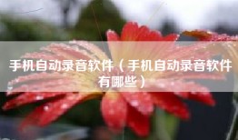 手机自动录音软件（手机自动录音软件有哪些）