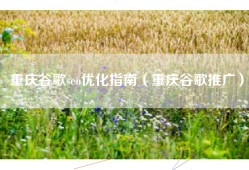 重庆谷歌seo优化指南（重庆谷歌推广）