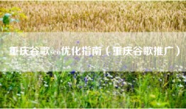 重庆谷歌seo优化指南（重庆谷歌推广）