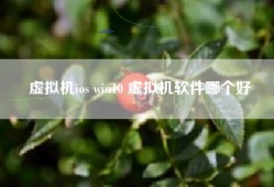 虚拟机ios win10 虚拟机软件哪个好