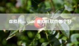 虚拟机ios win10 虚拟机软件哪个好