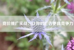竞价推广实战：让你的广告更具竞争力