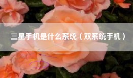 三星手机是什么系统（双系统手机）