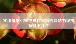 实用搜索引擎或查找资料的网站为你推荐以下几个