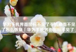 华为手机界面图标不见了手机桌面不见了怎么恢复「华为手机界面图标不见了」