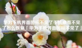 华为手机界面图标不见了手机桌面不见了怎么恢复「华为手机界面图标不见了」