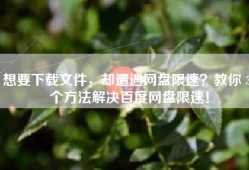 想要下载文件，却遭遇网盘限速？教你 3 个方法解决百度网盘限速！
