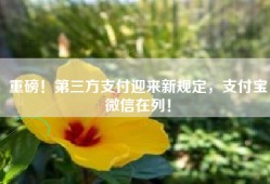 重磅！第三方支付迎来新规定，支付宝微信在列！