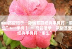 HMD高管暗示一款诺基亚经典手机将“重生”hmd手机「HMD高管暗示一款诺基亚经典手机将“重生”」
