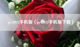 pes2012手机版（pes2012手机版下载）