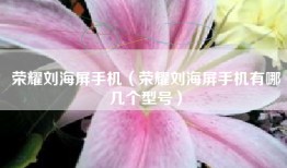 荣耀刘海屏手机（荣耀刘海屏手机有哪几个型号）
