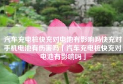 汽车充电桩快充对电池有影响吗快充对手机电池有伤害吗「汽车充电桩快充对电池有影响吗」