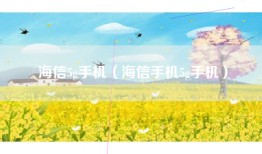 海信5g手机（海信手机5g手机）