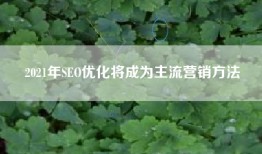 2021年SEO优化将成为主流营销方法