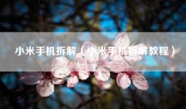 小米手机拆解（小米手机拆解教程）