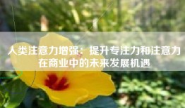 人类注意力增强：提升专注力和注意力在商业中的未来发展机遇