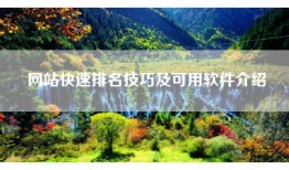 网站快速排名技巧及可用软件介绍