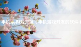 手机app游戏开发（手机游戏开发的软件）