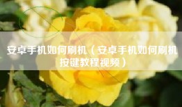安卓手机如何刷机（安卓手机如何刷机按键教程视频）