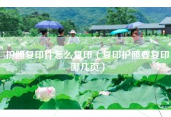 护照复印件怎么复印（复印护照要复印哪几页）