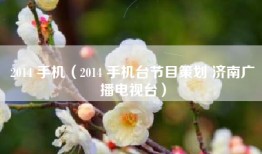 2014 手机（2014 手机台节目策划 济南广播电视台）