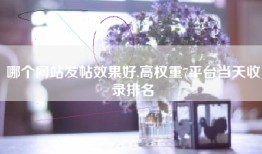 哪个网站发帖效果好,高权重7平台当天收录排名