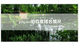 pykj.net的百度排名情况