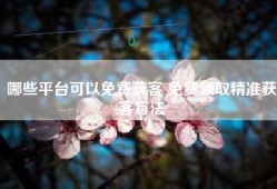 哪些平台可以免费获客 免费领取精准获客方法