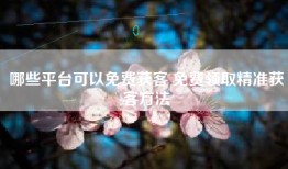 哪些平台可以免费获客 免费领取精准获客方法
