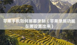 苹果手机如何屏幕录制（苹果录屏功能在哪设置出来）