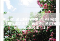 第三种：通过USB转HDMI／VGA转换器／线手机投影到墙上「第三种：通过USB转HDMI／VGA转换器／线」