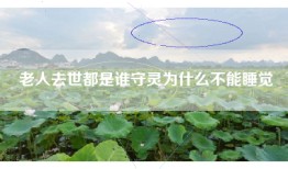 老人去世都是谁守灵为什么不能睡觉