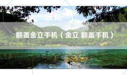 翻盖金立手机（金立 翻盖手机）