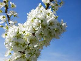 端午节放假微信朋友圈祝福