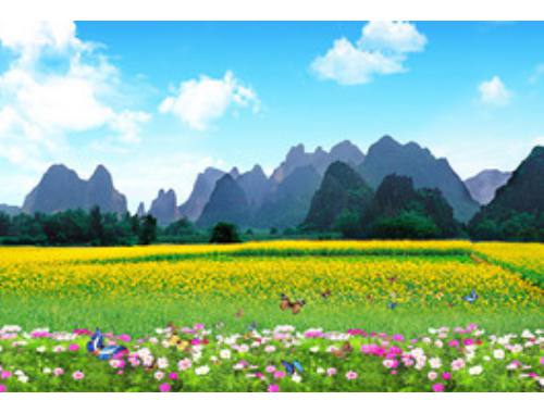 开票时间已定！许嵩在南海等你→