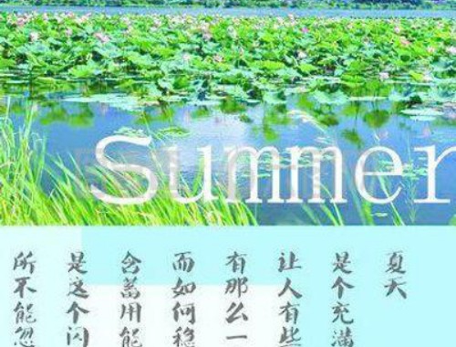 实达集团：11月15日召开业绩说明会，投资者参与