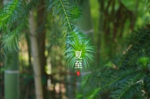 三四组合有财气是指什么生肖，准确解释精准落实