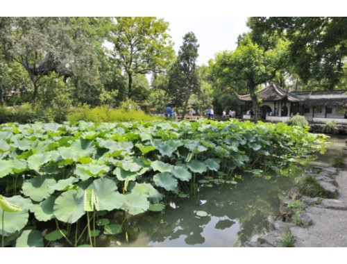 房子过户给亲属交多少费用