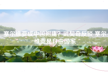 塞尔维亚成中国附庸？武契奇反驳 塞尔维亚是自由国家