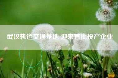 武汉轨道交通基地 迎来首批投产企业