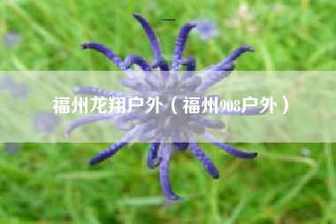 福州龙翔户外（福州908户外）